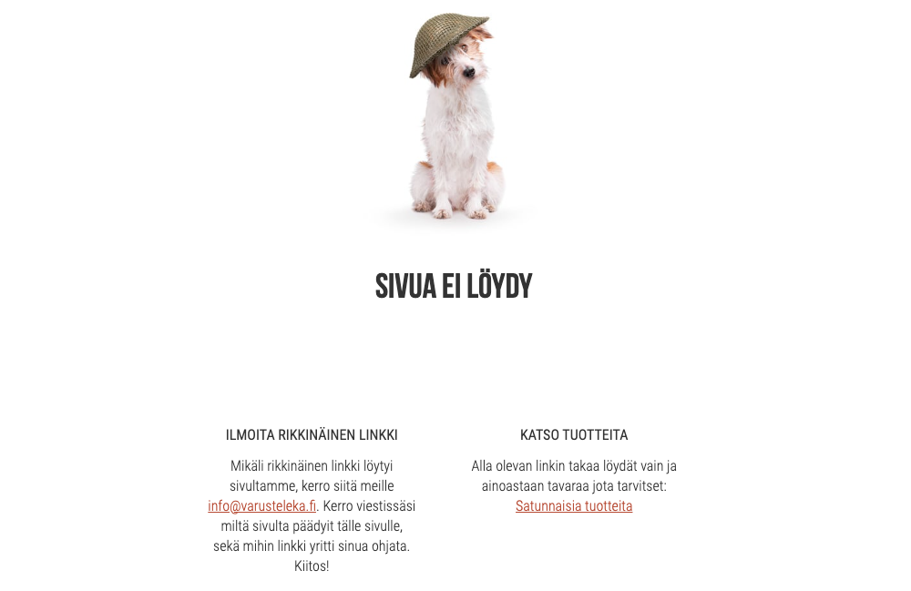 Varustelekan 404-sivu, jossa on kuva koirasta kypärä päässä.